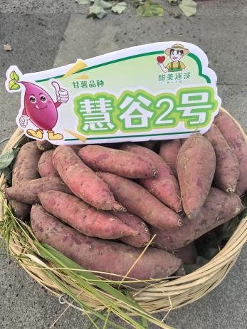 k��Ǯ�� - ����