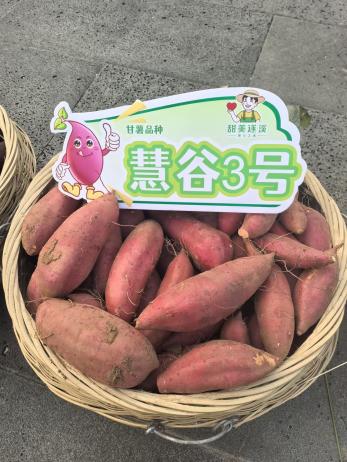 k��Ǯ�� - ����